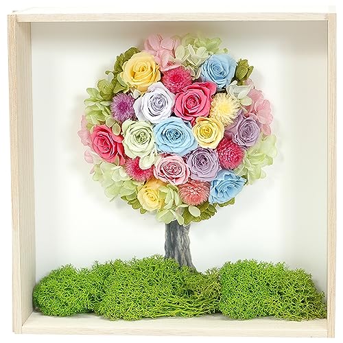 Amazon.co.jp: grand musee: プリザーブドフラワー